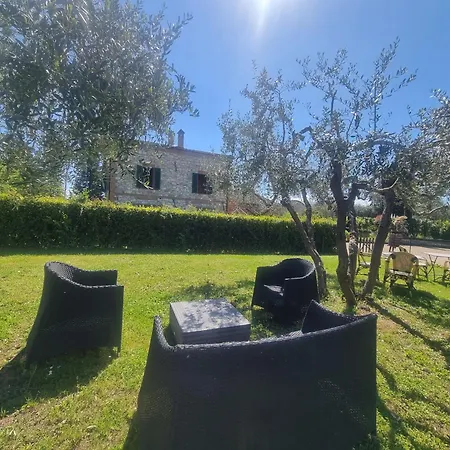 Le Crete Senesi * アッシャーノ